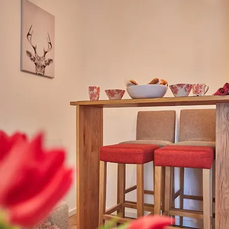 Felsenfest Apartment